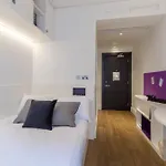 For Students Only Spring Mews In London